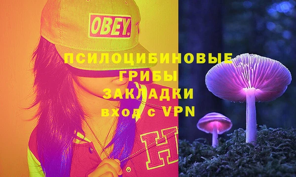 тгк Переславль-Залесский