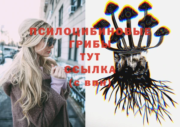 MDMA Premium VHQ Грязовец