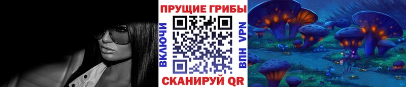 наркотики  Кулебаки  Галлюциногенные грибы Cubensis 