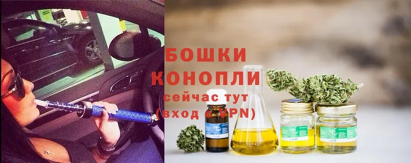 Каннабис OG Kush  Кулебаки 